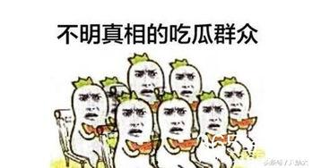娱乐之星吃瓜群众是谁
