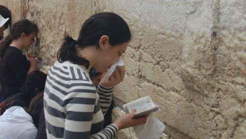 娱乐吃瓜君顶流